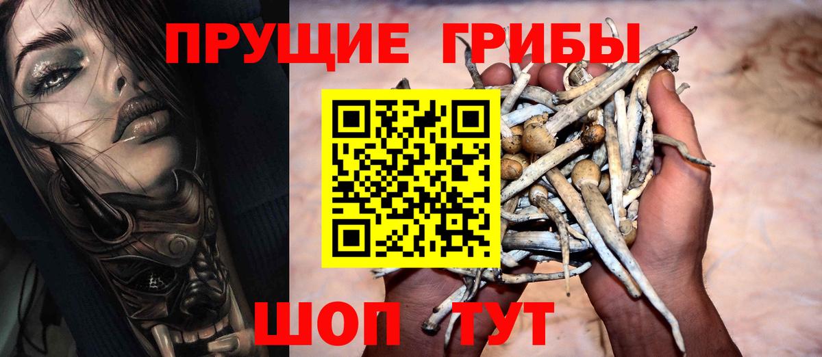 Галлюциногенные грибы ЛСД  Вход с VPN  Бугуруслан 